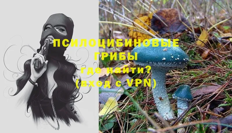 Псилоцибиновые грибы Psilocybe  MEGA tor  Туймазы 